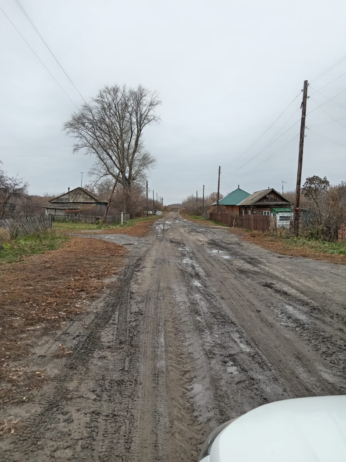 Ремонт дороги в с. Крутишка.